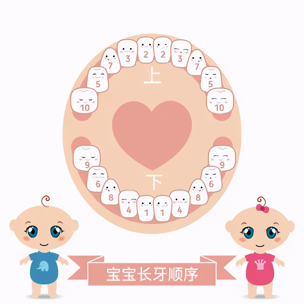 一周的宝宝用什么牙刷刷牙好,一周的宝宝刷牙用什么牙刷好