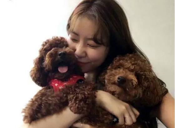 泰迪没有安全感怎么睡觉,泰迪为什么总是躲在床下