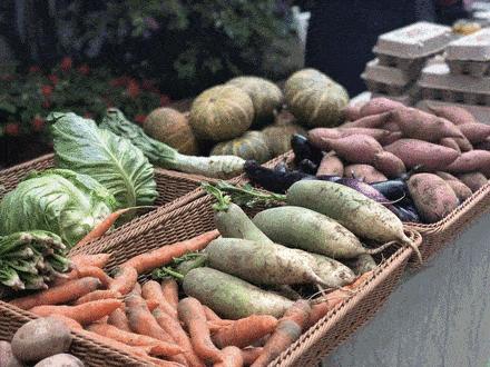 菜吧：为什么要给我们的孩子吃有机食品？