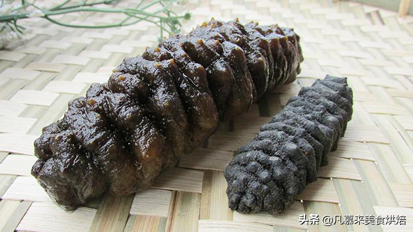 海参有多少种品种科普,海参品种齐全多种多样