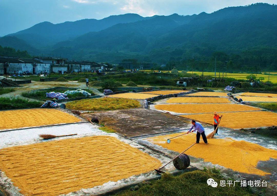 恩平拍客郑君文：用快门定格家乡变迁