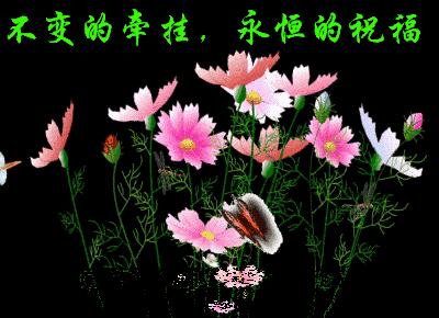 正月初九祝福语送给朋友,正月初九最美祝福伴大家长长久久