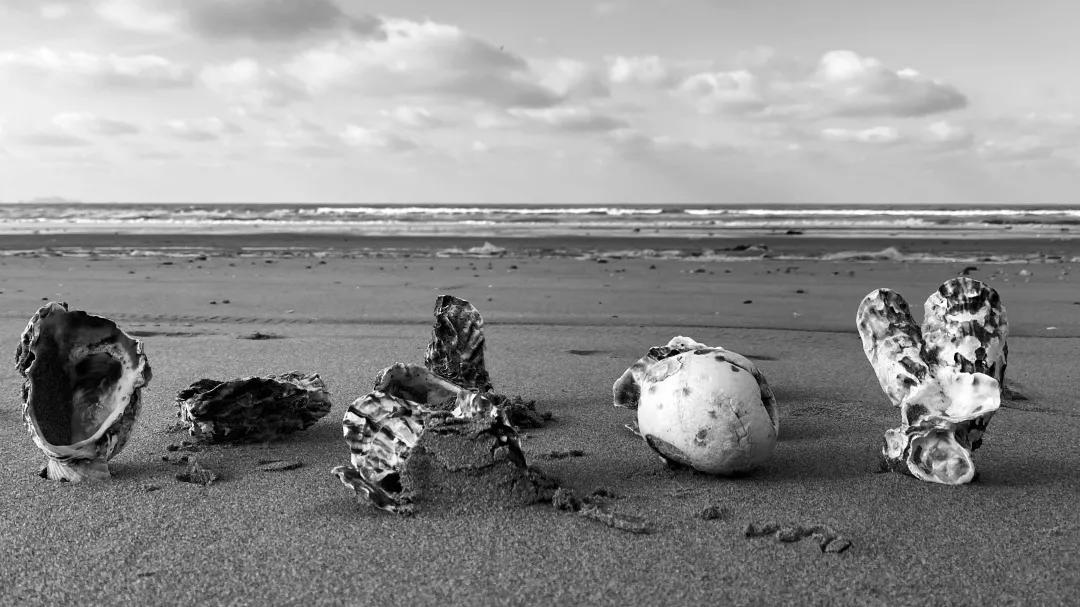 iPhone相机操作技巧,iphone相机操作指南3.0