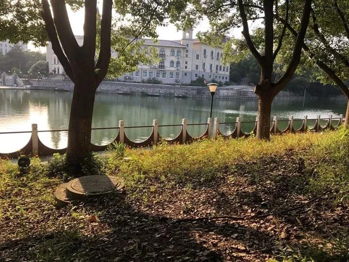 南京财经大学红山学院长什么样,南京财经大学红山学院院系数量