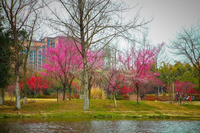 坐拥“中优”“南拓”双红利！