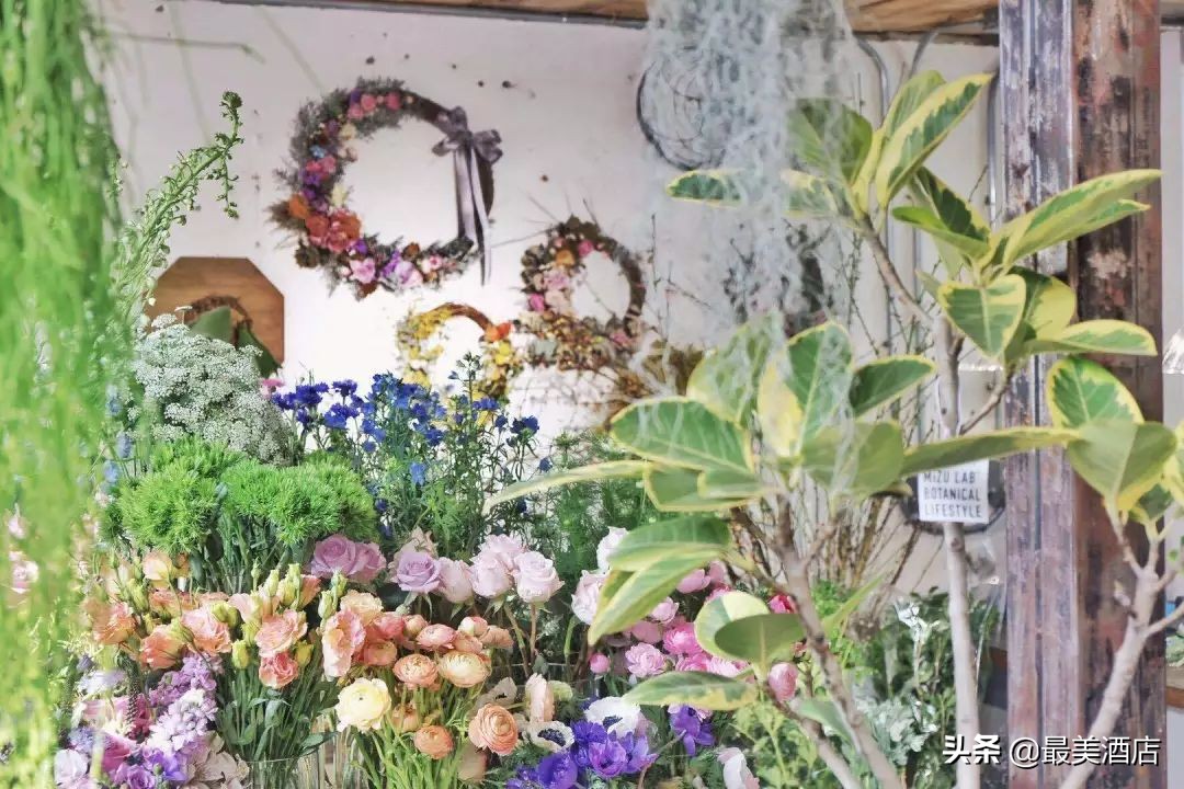 她放弃了总监职位后续,她辞去总监回家扶贫全集