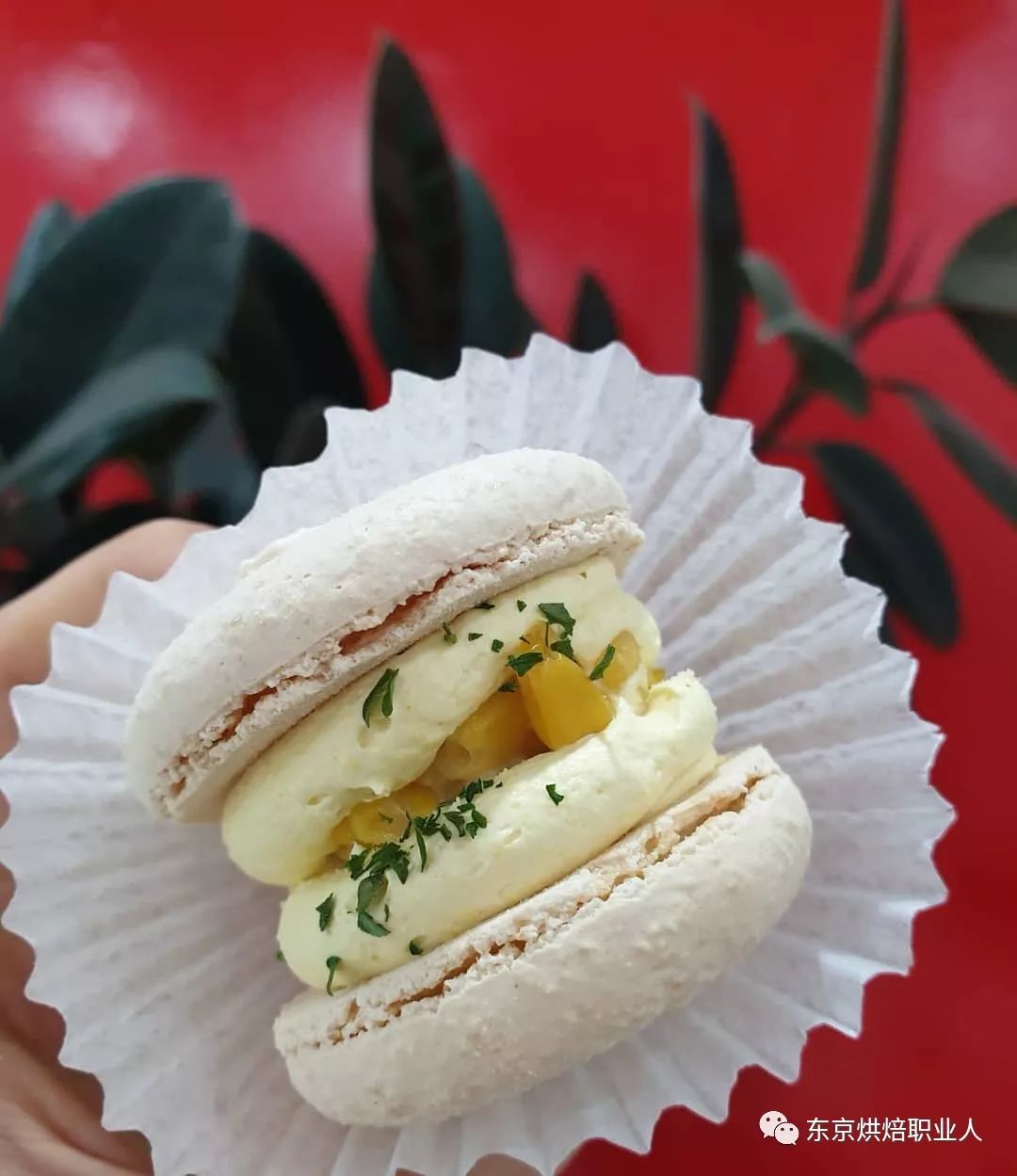 ​XXXL韩国超大size的马卡龙专卖店，可盐可甜火爆街头