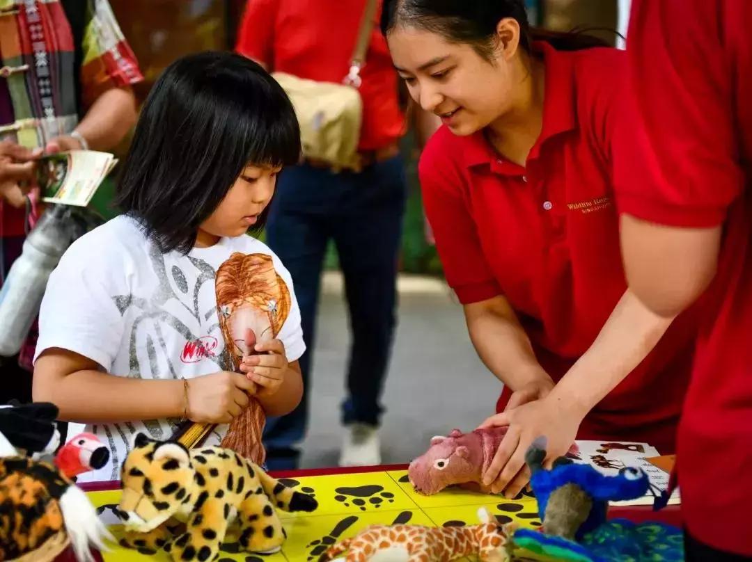 新加坡动物园周末,新加坡旅游攻略动物园