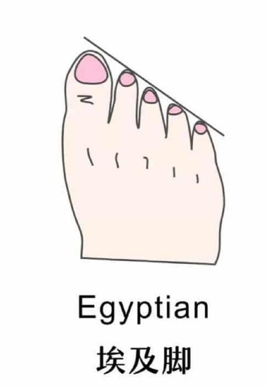 女性脚型有哪几种,女性脚型有哪些