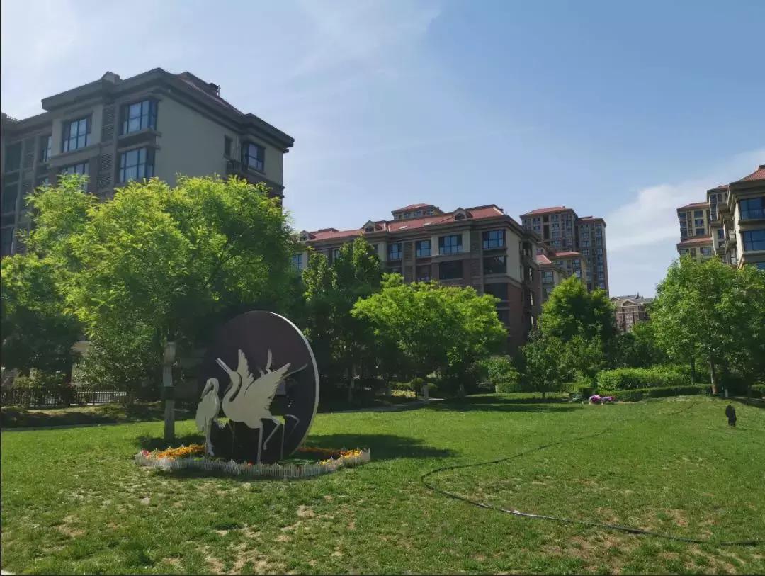 关于龙湾城片区院长这么说，附带优质社区踩盘，你们猜猜是哪里？