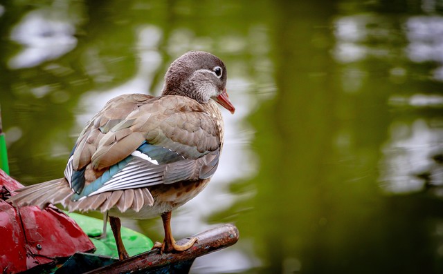 立场不同，请不要随意指责