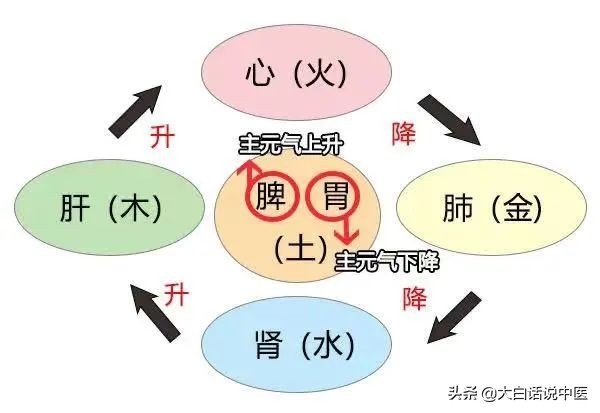 收好这份老年痴呆预防指南,如何预防老年痴呆中医