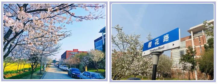 武汉外语外事职业学院出国,在武汉外语外事职业学院上学