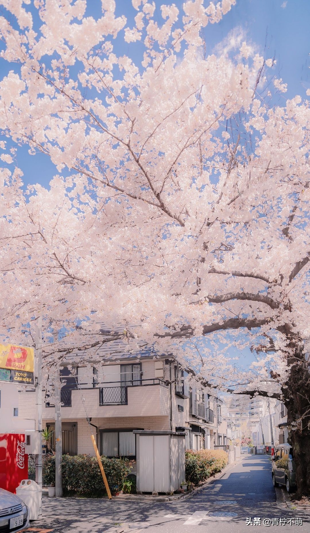 苹果13原装高清壁纸4k全屏无水印,4k超清壁纸1080p无水印全屏苹果