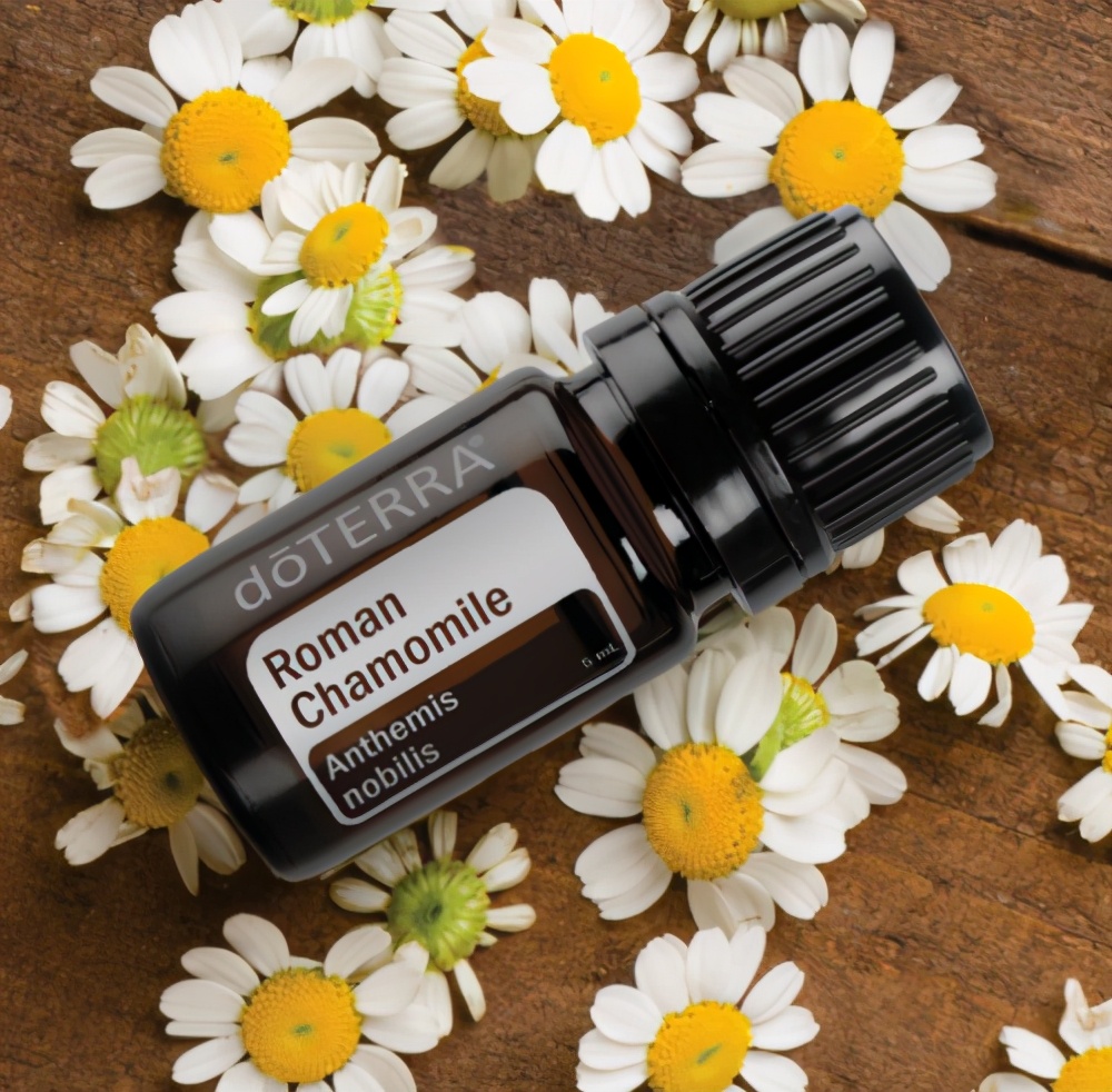 多特瑞舒缓精油的正确用法,多特瑞哪种精油对鼻炎好