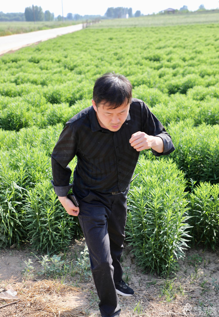 偃师巩义有哪些旅游景点,洛阳偃师旅游景点大全介绍