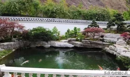 养锦鲤的十大注意事项,养锦鲤的10大忌