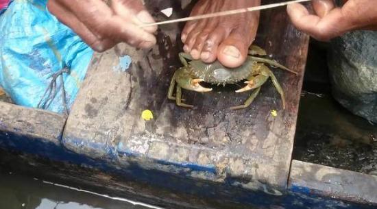 看看印度人是怎么干活,看看印度人如何吃火锅