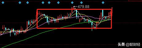十大龙头潜力股,芯片龙头业绩大增的股票