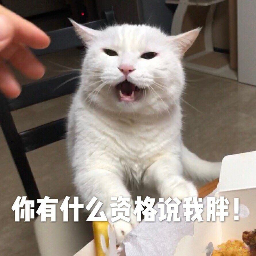 年纪轻轻脑子不好使表情包,年纪轻轻看什么湖人表情包