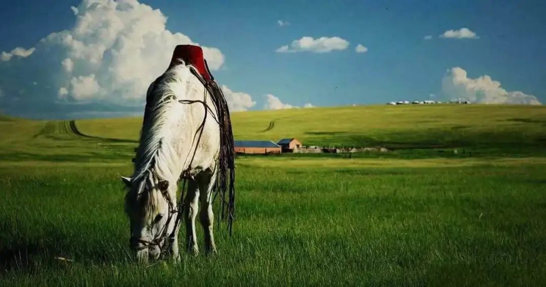 突然想去新疆旅游,突然好想去呼伦贝尔