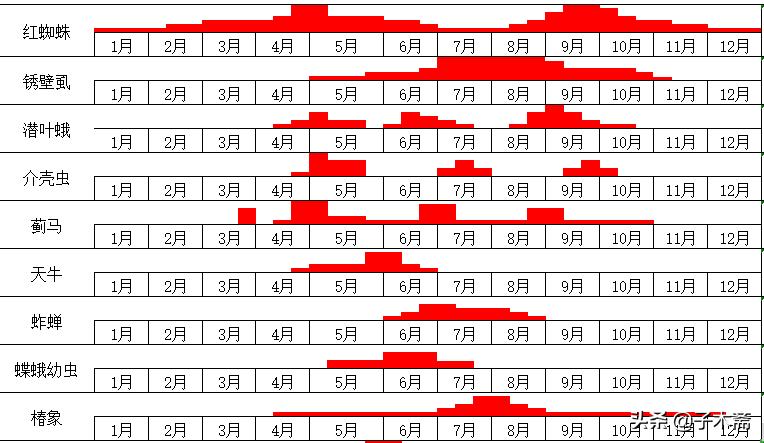 柑橘大实蝇和柑橘小实蝇常规虫害,柑橘虫害高清图谱及防治方法