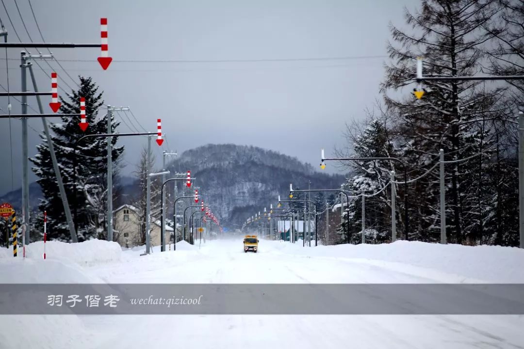 老实说,这一趟北海道就是为了拍好看的照片去的