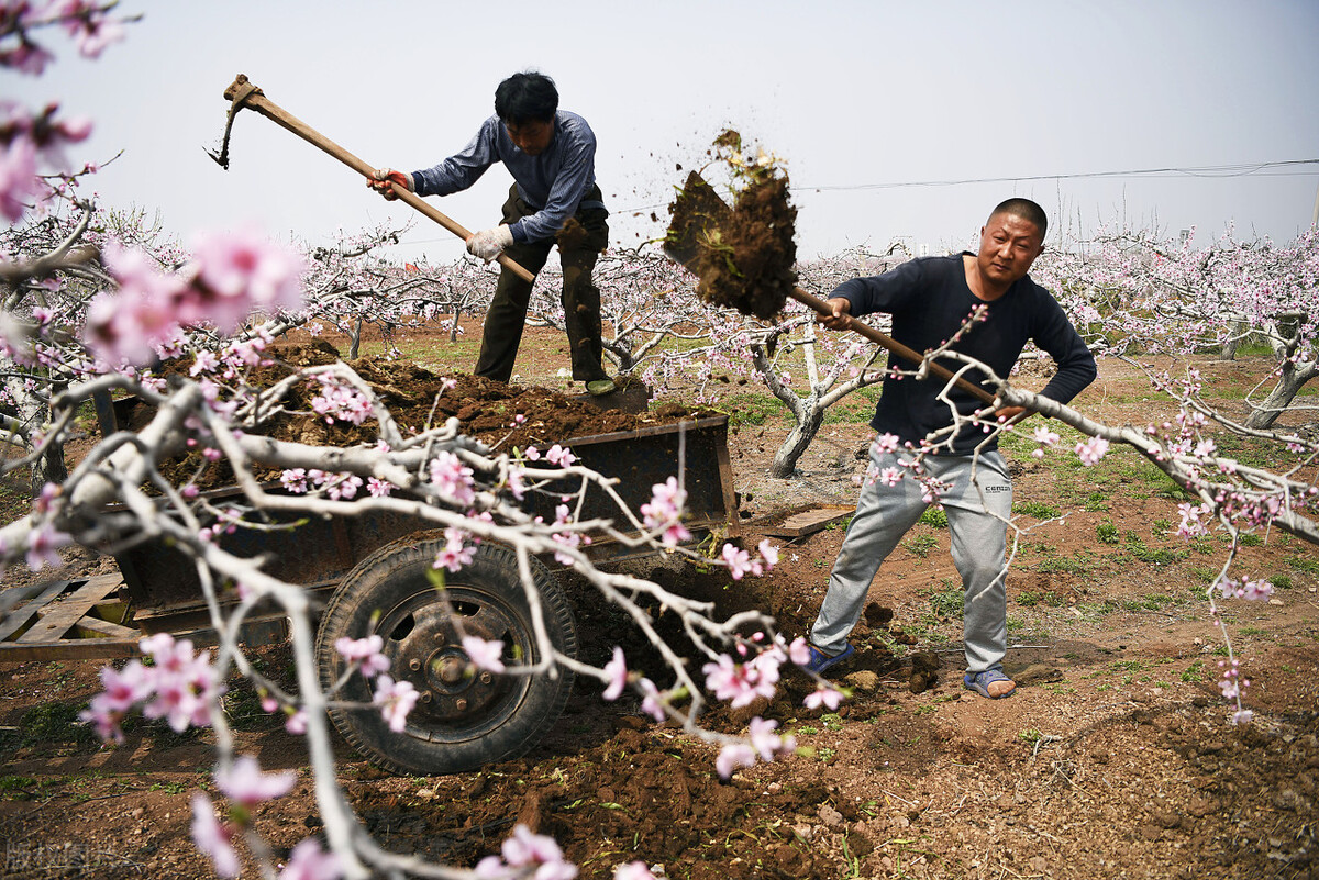 推荐五个农村致富好门路,农村致富100种创业项目有哪些