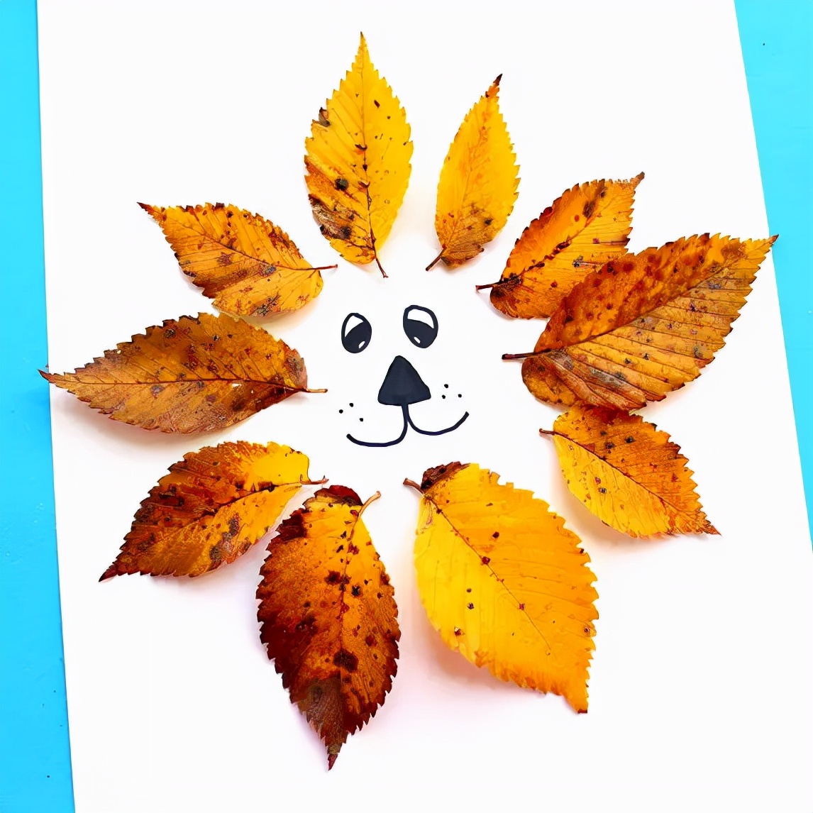 有多少种各种各样的小动物呢,用落叶做可爱的小动物