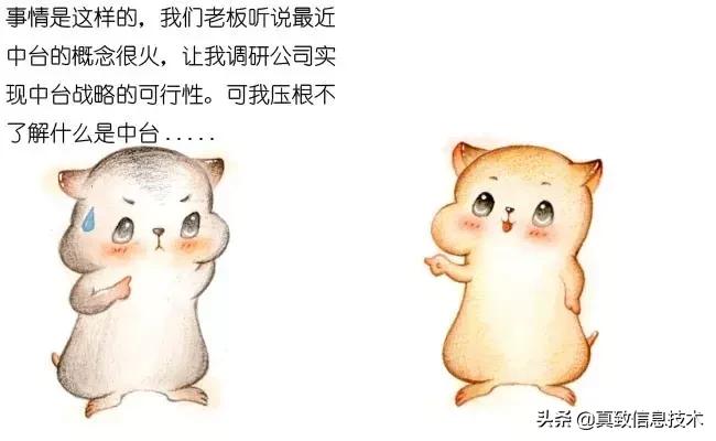 什么是中台元仓,什么是中台测试