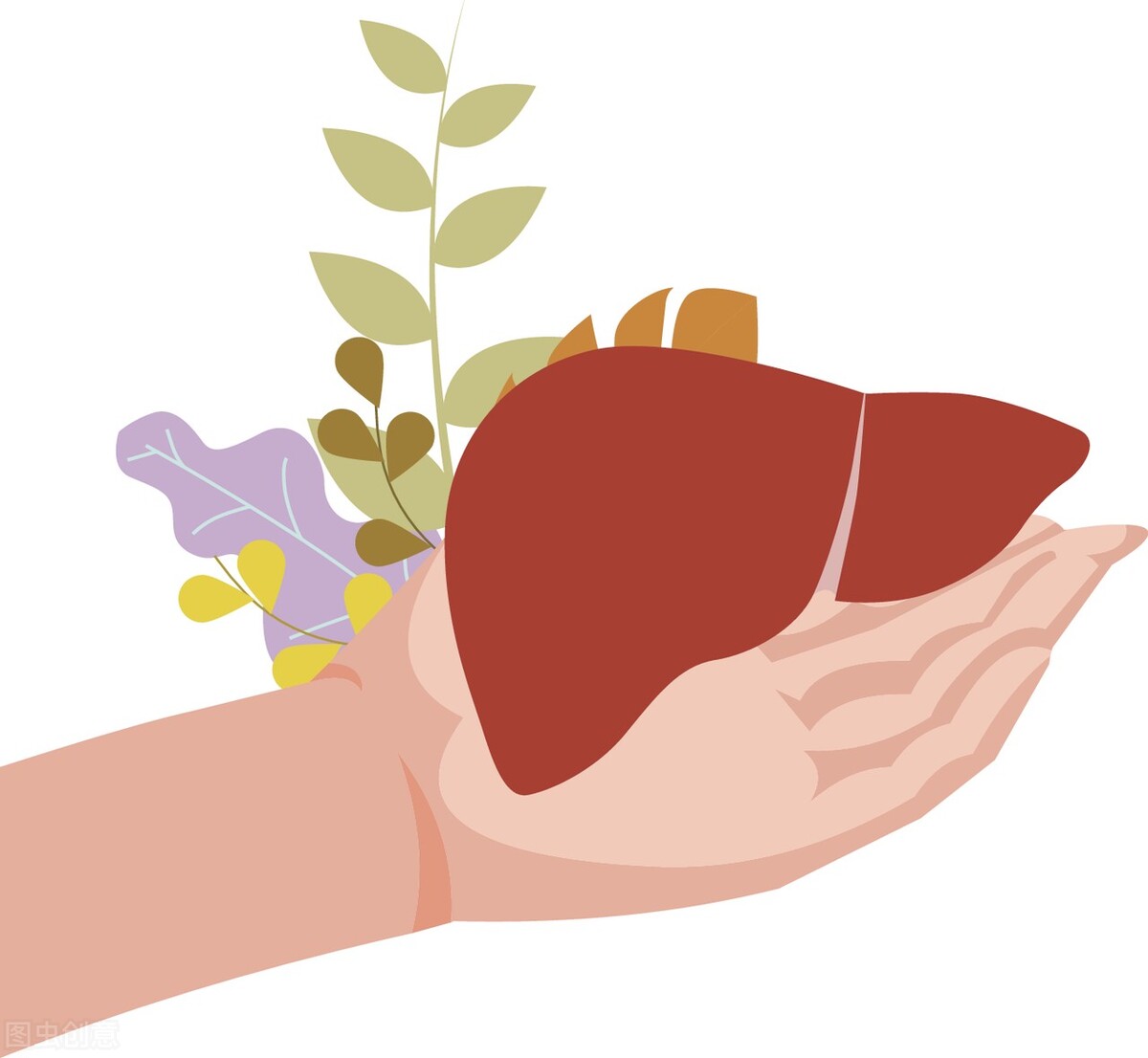 糖友们发现脂肪肝后怎么办？不用慌，给你5点建议