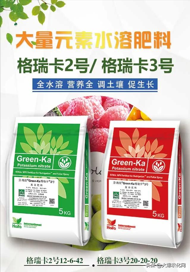 水溶肥效果如何评价,自制水溶肥效果好吗