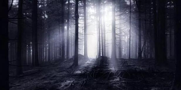 美国科幻影视公司攻击刘慈欣,美国向宇宙发射的光盘