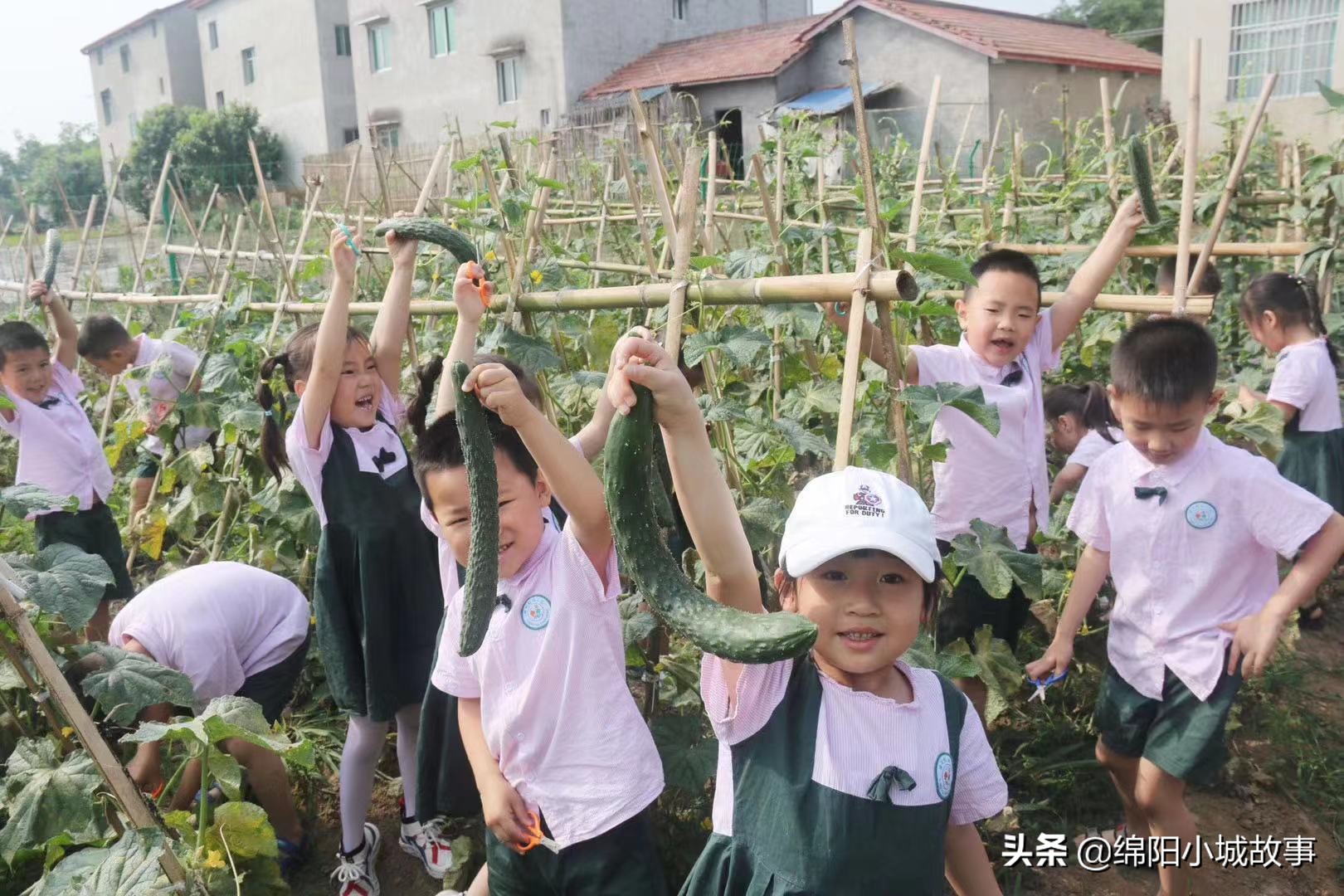 梓潼金太阳幼儿园基地,梓潼县金太阳幼儿园