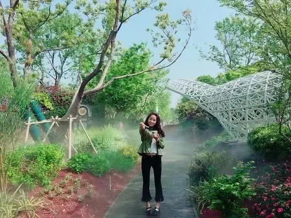 郑州五一年轻人攻略,郑州人五一出游地点推荐