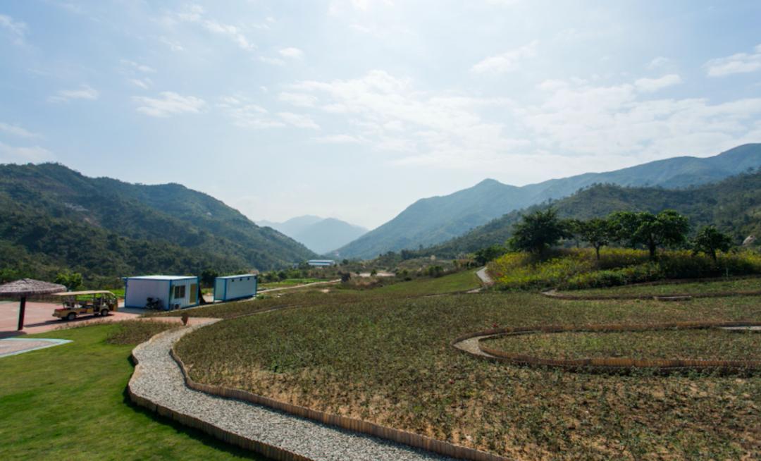 占地9200亩,光配套就7700亩!深圳东这个超级神盘,才配叫生活