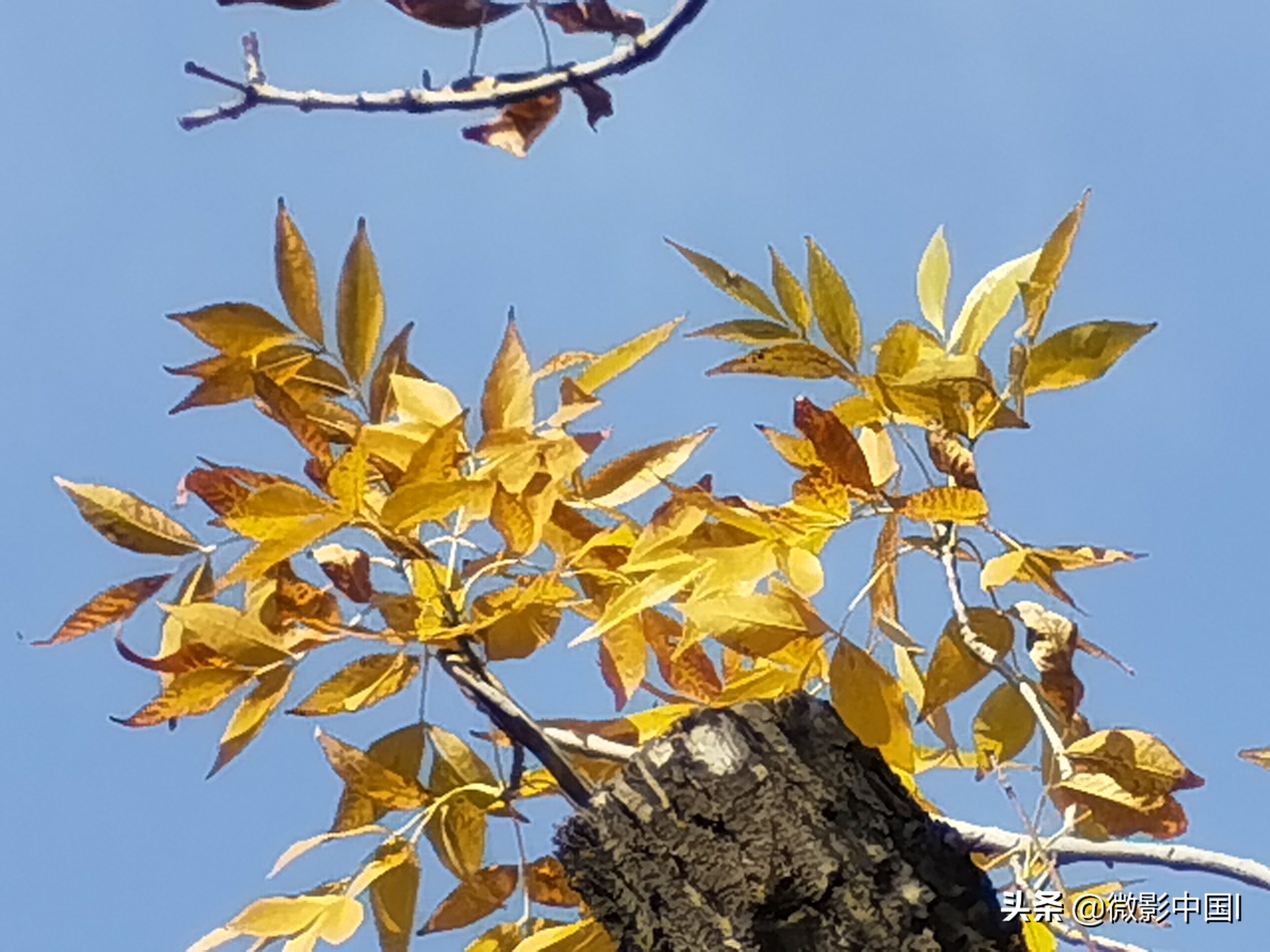 秋风雨韵华彩忆(四章)
