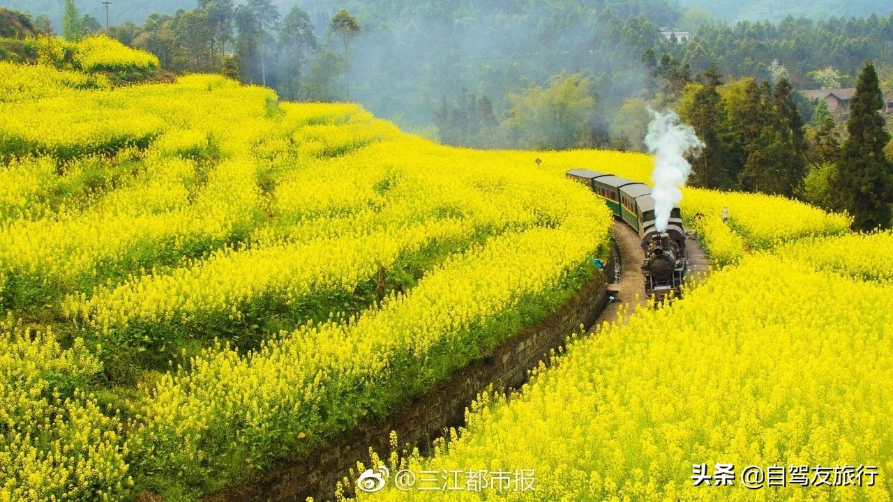 8月最佳旅行地推荐自驾游,4-5月份最佳的自驾短途旅行