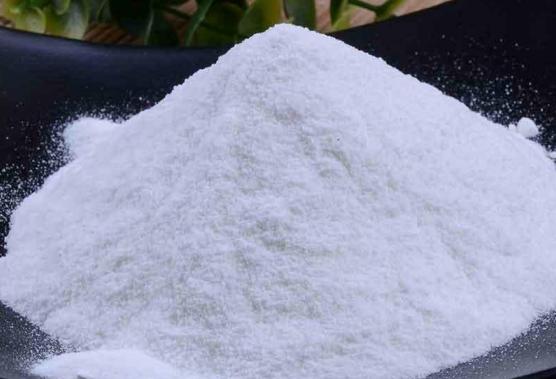 拉布拉多幼犬一吓就尿,拉布拉多幼犬尿中有血