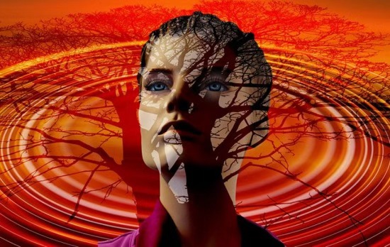 以聚焦的方式与思维和情绪一起工作(人本聚焦读书会小记)