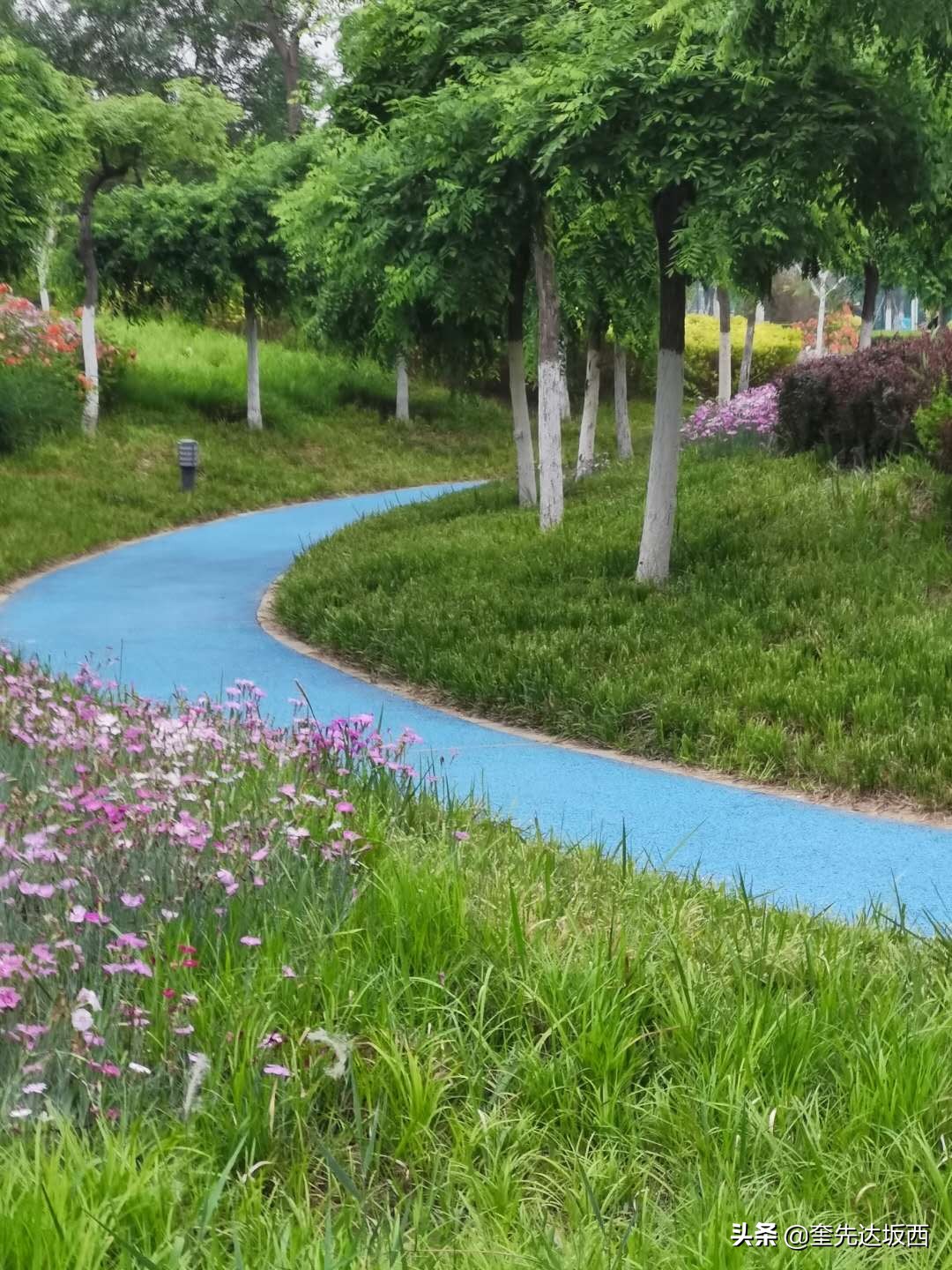 放松心情运动健身好地方,休闲健身好心情