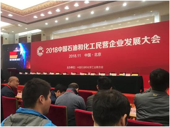 2019中国石油和化工民营企业百强,中国能源化工企业排名前十