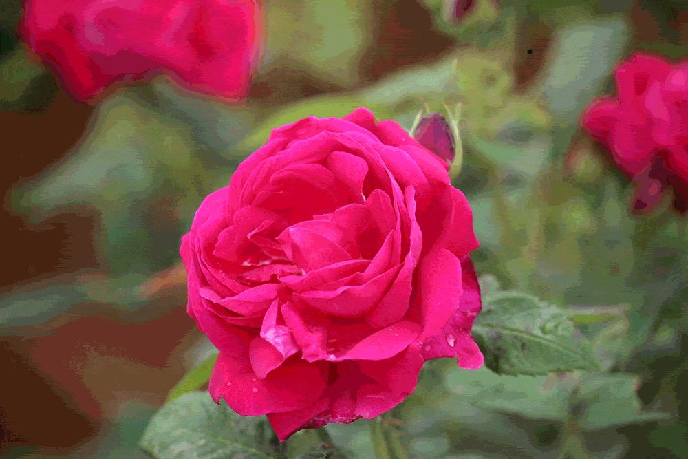 年货大街活动开始,年货大街开市啦