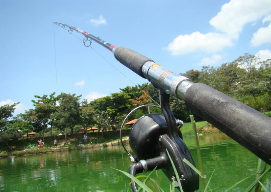 新手如何钓更多的鱼,新手怎么才能钓出好鱼