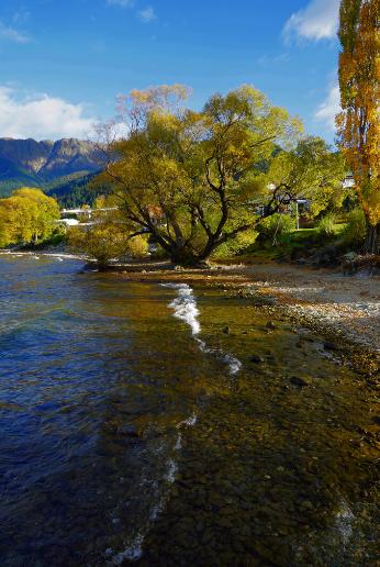 古诗野望的千古名句,《野望》诗词欣赏
