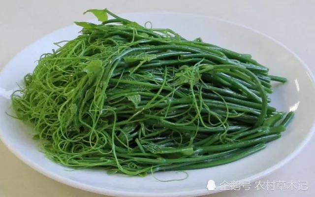 鍐滄潙缁忓父绉嶇殑鍙粈涔堢摐鍠傜尓,鐡滆嫍鐢ㄦ潵鍠傜尓