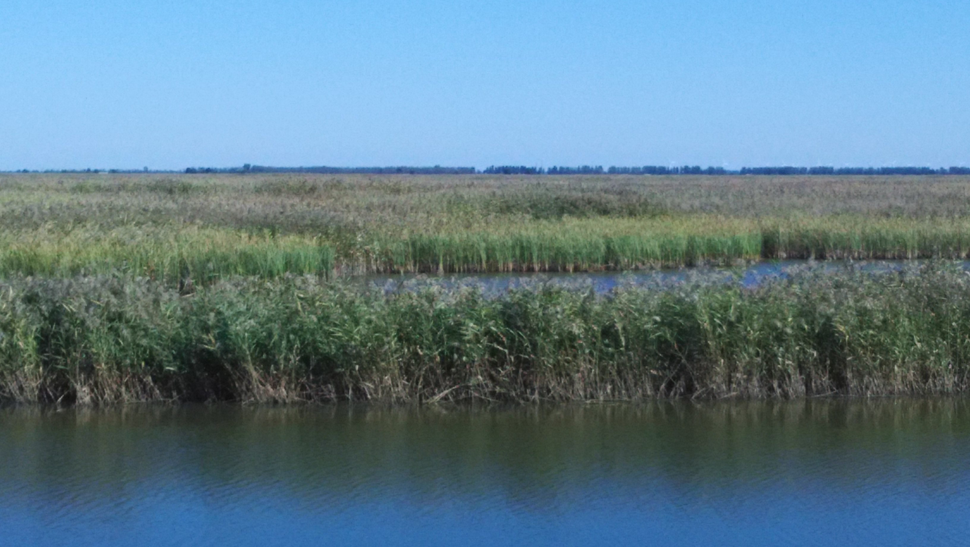 北京的北边有片红红的海北京很多人都没有去过