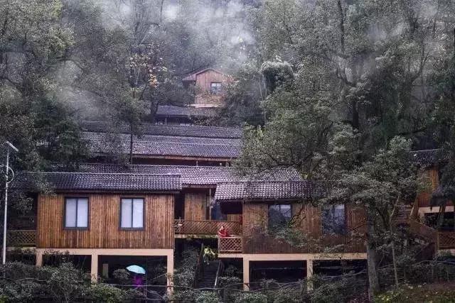 央视挖出来浙江冷门小城，小小鸭头都是世间绝味，人均100+住别墅