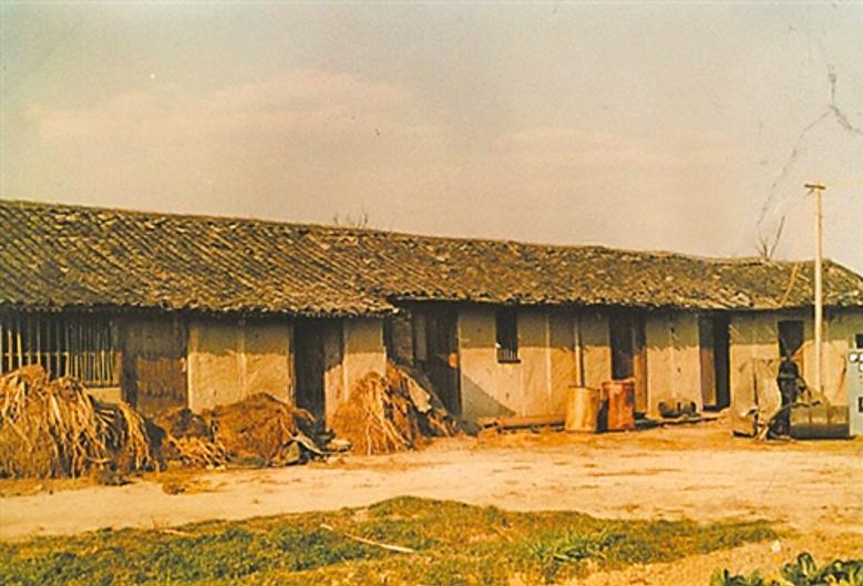 19岁创业成为亿万富翁,19岁少年白手起家成为亿万富翁