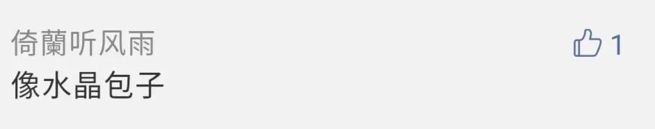 包子捏褶,包子捏褶技巧视频